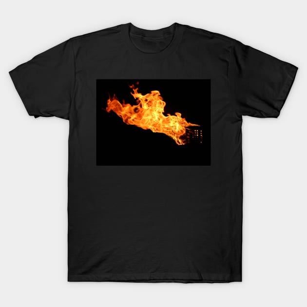 Flaming Roman Torch T-Shirt by Furtographic